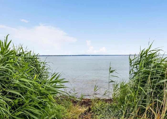 Gyldenrisvej Denm Tranekær